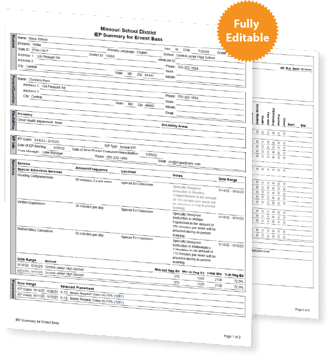 IEP at a glance template